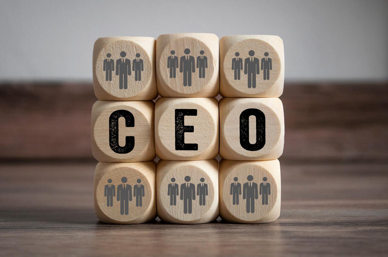 Cubes with CEO ; Shutterstock ID 1224428434