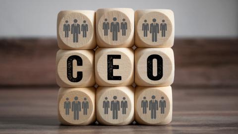 Cubes with CEO ; Shutterstock ID 1224428434