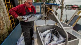 Sustainable tuna fishing (Photo: TNC)